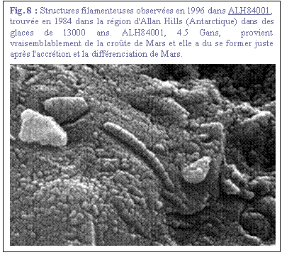Zone de Texte: Fig. 8 : Structures filamenteuses observes en 1996 dans ALH84001, trouve en 1984 dans la rgion d'Allan Hills (Antarctique) dans des glaces de 13000 ans. ALH84001, 4.5 Gans,  provient vraisemblablement de la crote de Mars et elle a du se former juste aprs l'accrtion et la diffrenciation de Mars.
 

