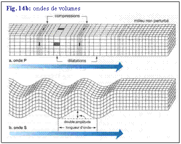 Zone de Texte: Fig. 14b: ondes de volumes
 
