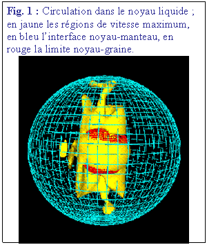 Zone de Texte: Fig. 1 : Circulation dans le noyau liquide ; en jaune les rgions de vitesse maximum, en bleu linterface noyau-manteau, en rouge la limite noyau-graine. 
 
