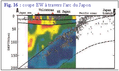 Zone de Texte: Fig. 16 : coupe EW  travers l'arc du Japon
 
