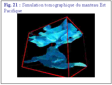 Zone de Texte: Fig. 21 : Simulation tomographique du manteau Est Pacifique
 
