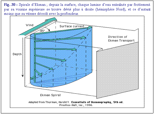 Zone de Texte: Fig. 30 : Spirale dEkman ; depuis la surface, chaque lamine deau entrane par frottement par sa voisine suprieure se trouve dvi plus  droite (hmisphre Nord), et ce dautant moins que sa vitesse dcrot avec la profondeur.
 
