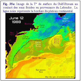 Zone de Texte: Fig. 35a: Image de la T de surface du Gulf-Stream au contact des eaux froides en provenance du Labrador . La ligne noire reprsente la bordure du plateau continental.
 
