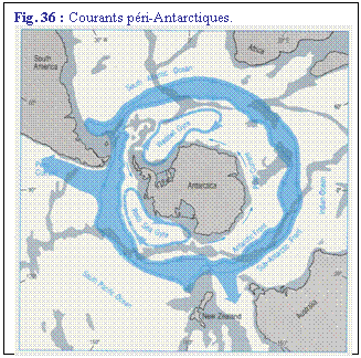 Zone de Texte: Fig. 36 : Courants pri-Antarctiques.
 
