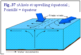 Zone de Texte: Fig. 37 :Aliss et upwelling quatorial ; Pointill = quateur
 
