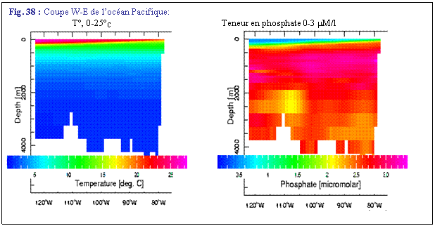 Zone de Texte: Fig. 38 : Coupe W-E de locan Pacifique:
             T, 0-25C                                               Teneur en phosphate 0-3 mM/l
               
