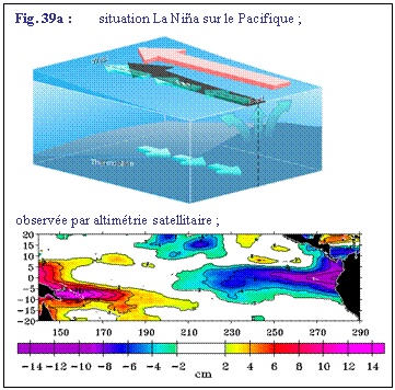 Zone de Texte: Fig. 39a : 	situation La Nia sur le Pacifique ;
 
observe par altimtrie satellitaire ;
 
 
