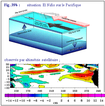 Zone de Texte: Fig. 39b : 	situation  El Nio sur le Pacifique 	
 
observe par altimtrie satellitaire ;
 
 
