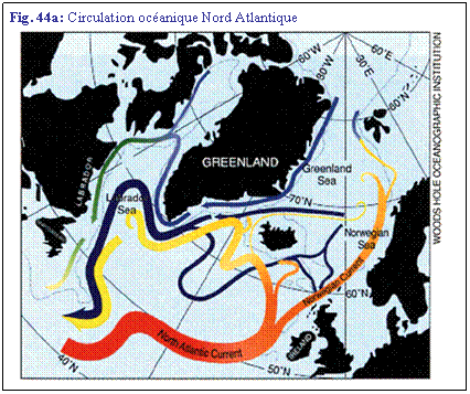 Zone de Texte: Fig. 44a: Circulation ocanique Nord Atlantique
 
