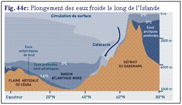 Zone de Texte: Fig. 44c: Plongement des eaux froide le long de lIslande
 
