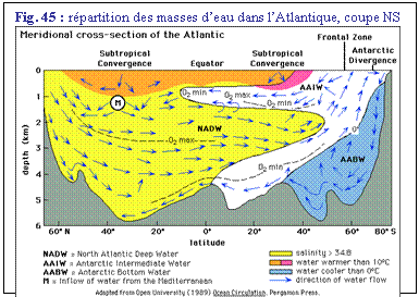 Zone de Texte: Fig. 45 : rpartition des masses deau dans lAtlantique, coupe NS
 
