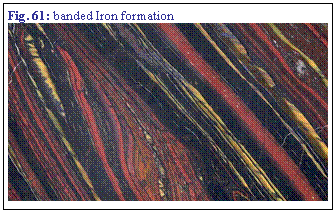 Zone de Texte: Fig. 61: banded Iron formation
 

