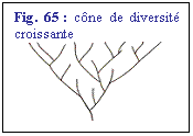 Zone de Texte: Fig. 65 : cne de diversit croissante
 
