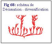 Zone de Texte: Fig 68: schma de 
Dcimation - diversification 
 
