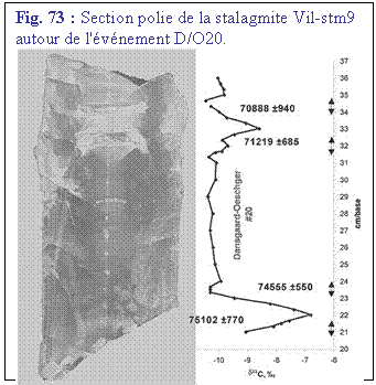 Zone de Texte: Fig. 73 : Section polie de la stalagmite Vil-stm9 autour de l'vnement D/O20.
 

 
