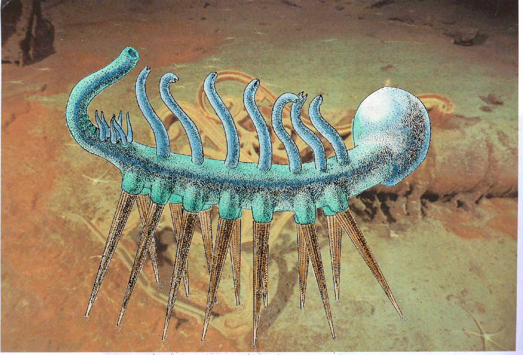 Hallucigenia_c.jpg