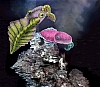 Anomalocaris_c.jpg
