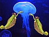 Opabinia_c.jpg