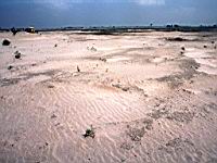 Jamalpur Old Brahmaputra Sand.JPG