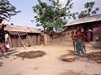 Rulipara char Farm-yard 01.JPG