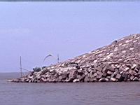 Sirajgang groyne.JPG