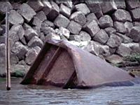 Sirajgang reinforced embankment.JPG