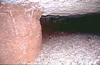 Baie des chaleurs Carbonifere Base de banc Souscavee 02.JPG