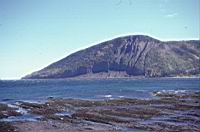 Baie du Saint Laurent.JPG