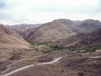 p007.JPG