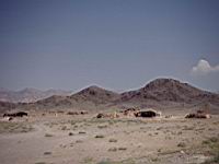 p008.JPG